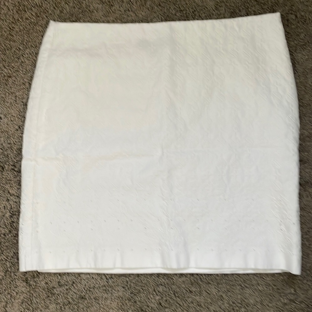 Talbots Skirt